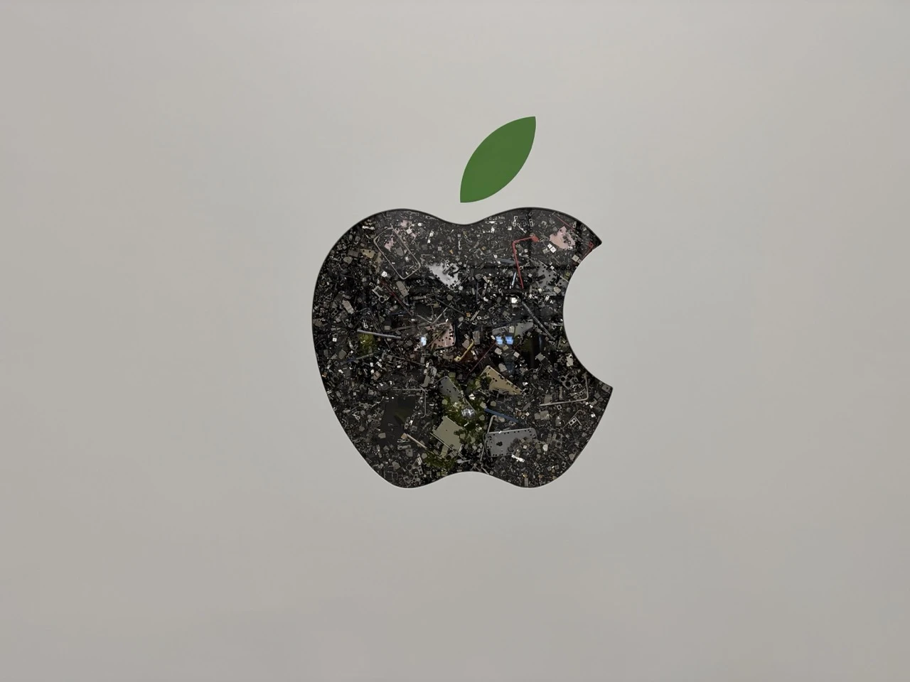 apple daisy recycling 011