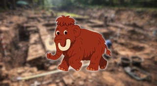 Kości mamuta, grobowce i ślady osad. Niezwykłe odkrycia na trasie S17