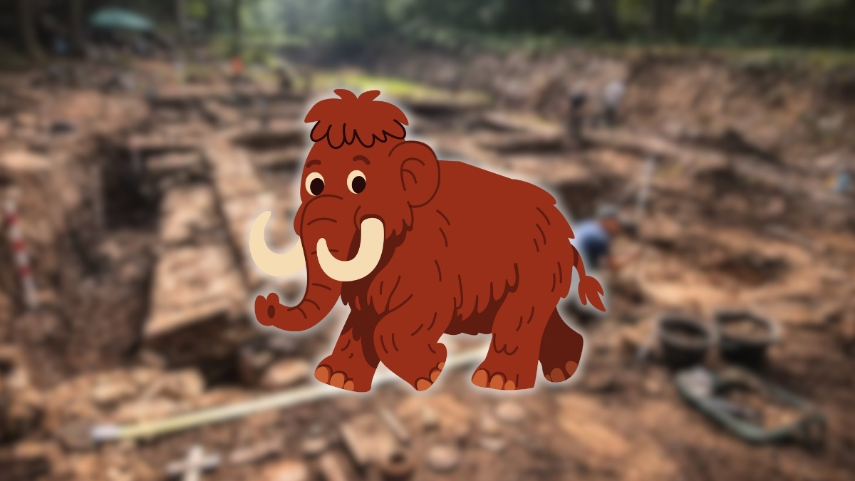 Sto tysięcy zabytków na budowie S17. „Ekspresówka odsłoniła historię”