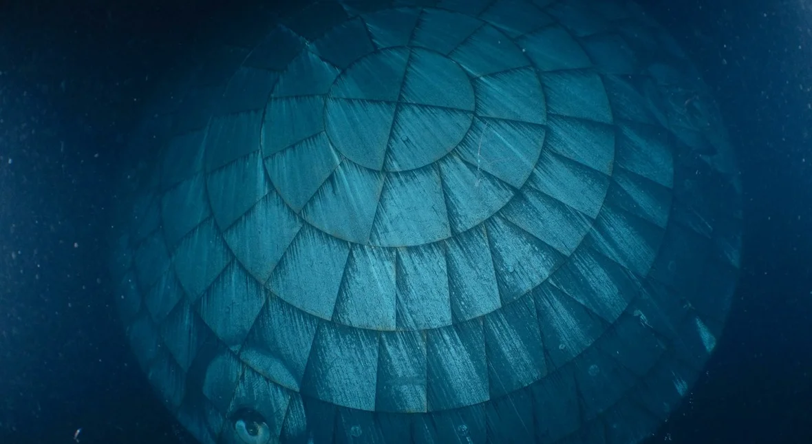 Image for Pokazali zdjęcia Oriona po powrocie z Księżyca. Przetrwał prawdziwy koszmar