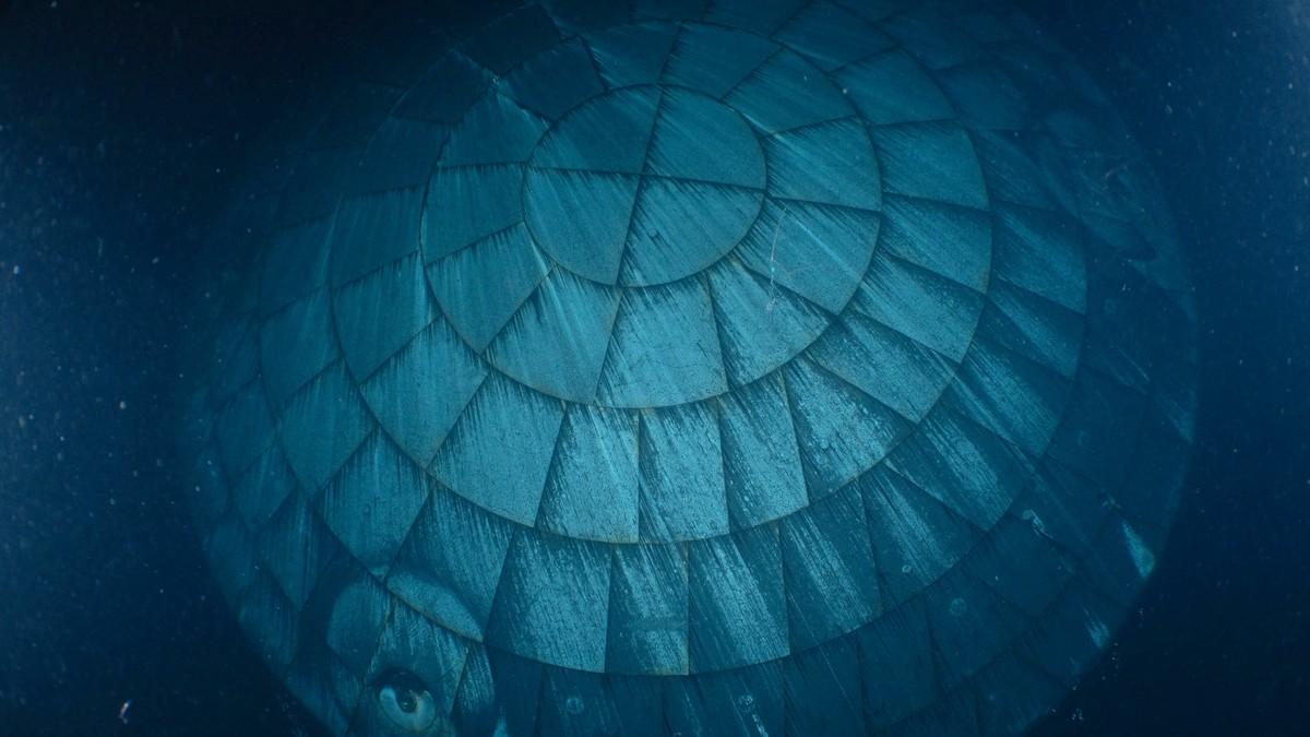 Pokazali zdjęcia Oriona po powrocie z Księżyca. Przetrwał prawdziwy koszmar