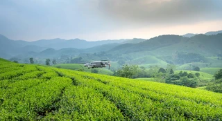 Polscy rolnicy - wizjonerzy sądzą technologię. Plony to nagroda od Huawei