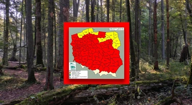 Niemal cała Polska na czerwono. Zagrożenie jak w środku lata