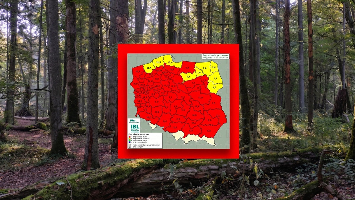 Niemal cała Polska na czerwono. Zagrożenie jak w środku lata