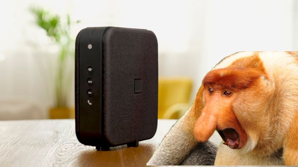 Rekordowa promocja na światłowód. Szybki internet tani jak barszcz