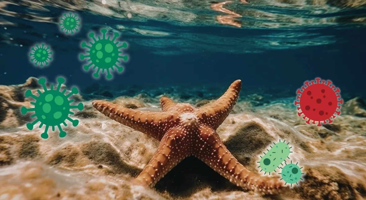 Image for Wyglądają zdrowo, a umierają. Odkryli mechanizm podmorskiej makabry