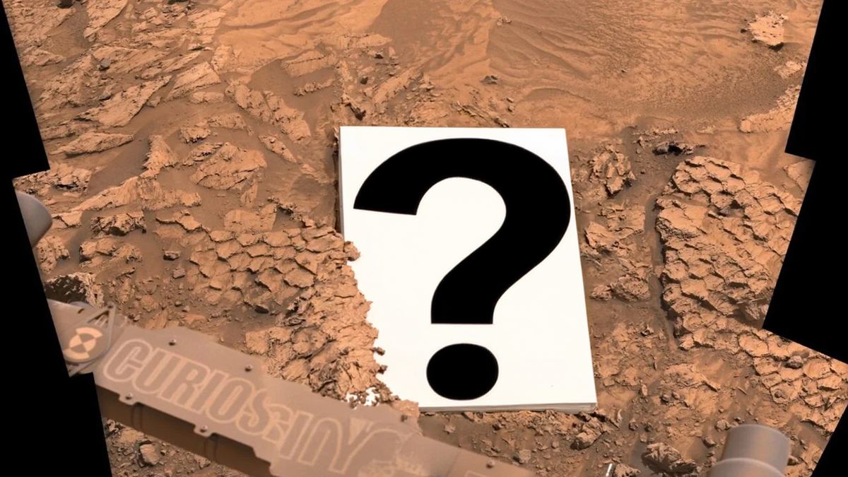 Znaleźliśmy rybie łuski na Marsie. Co u licha