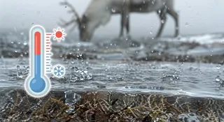 Na Spitsbergenie zabrakło śniegu. To fatalny znak dla klimatu