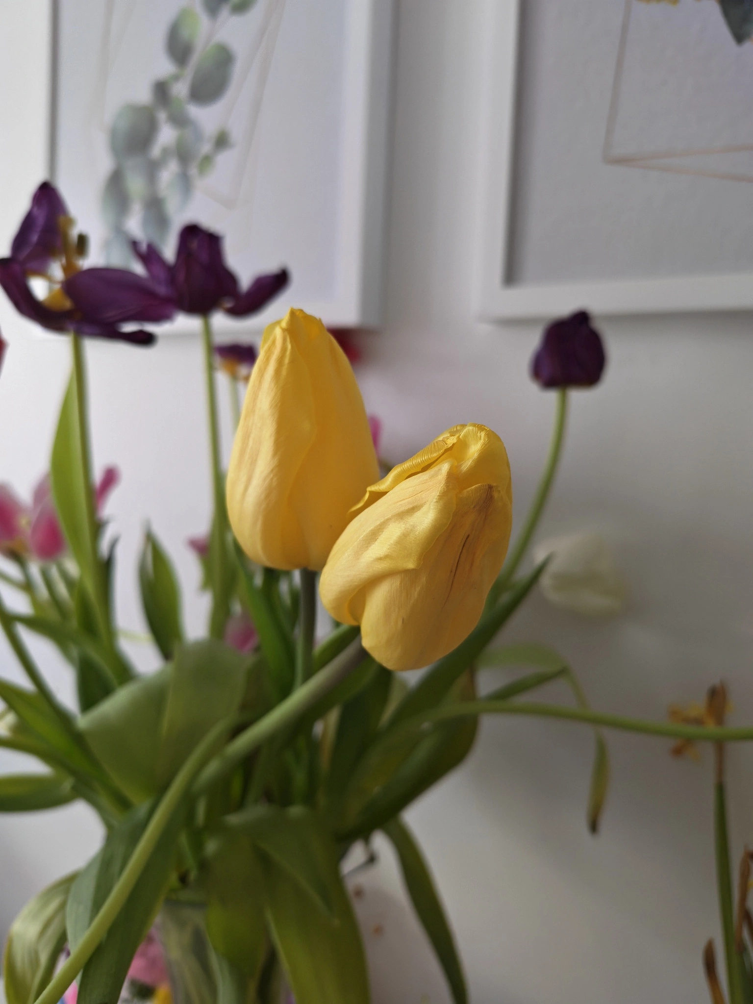 https://cdn-sw.spidersweb.pl/2026/05/honor-600-pro-test-aparat1.jpg