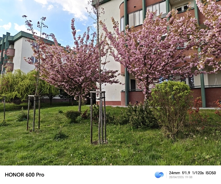 https://cdn-sw.spidersweb.pl/2026/05/honor-600-pro-test-aparat12.jpg