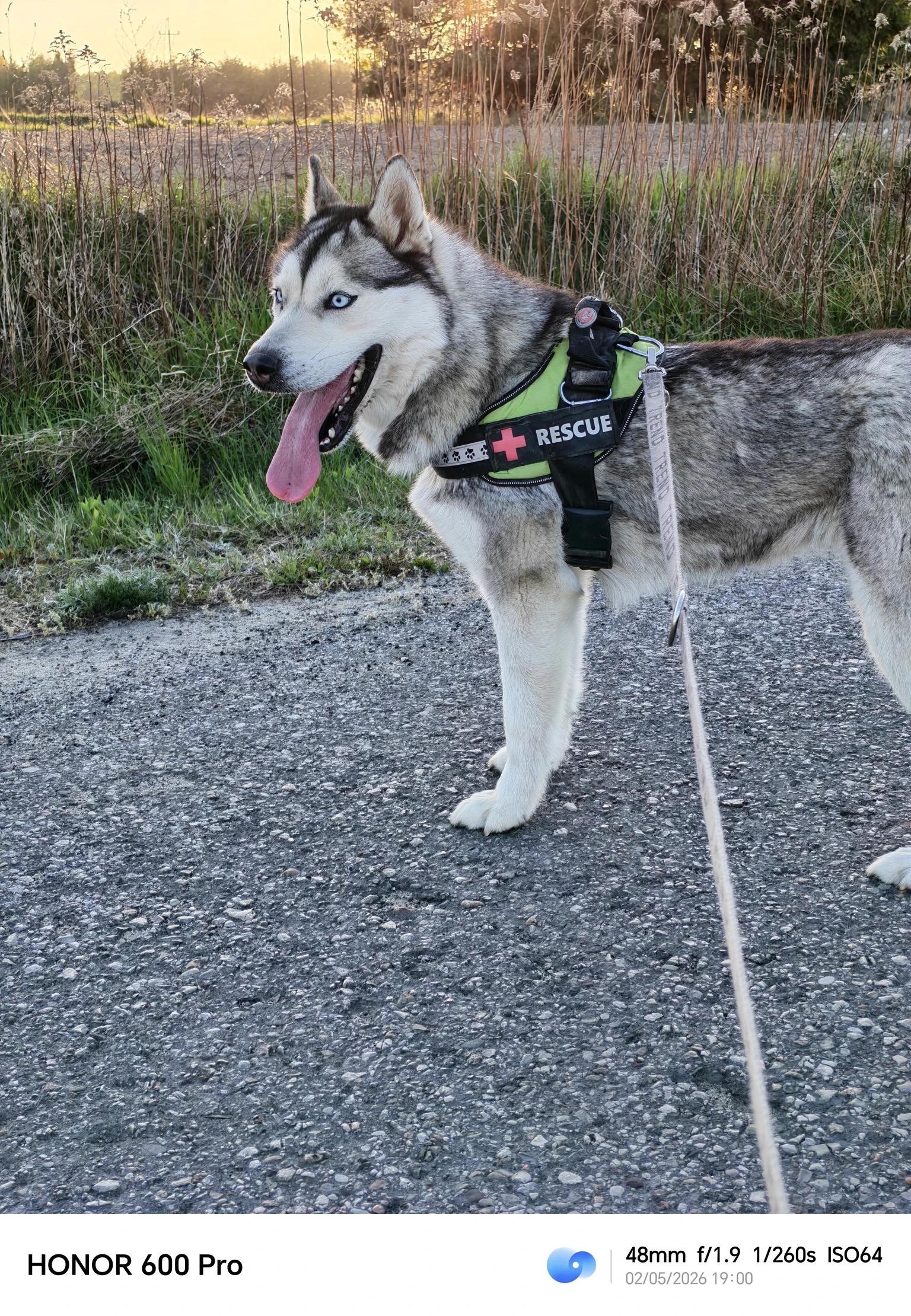 miniatura zdjęcia