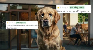 Afera o psy w kawiarni. Regulamin lokalu podpalił internet