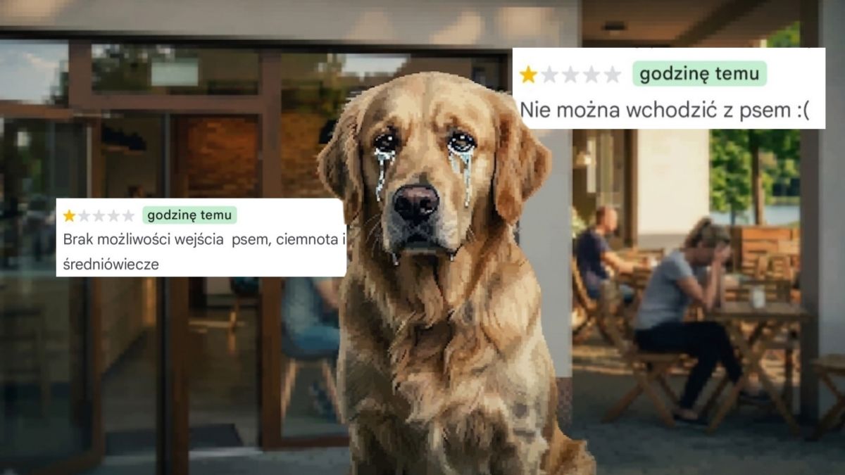 Afera o psy w kawiarni. Regulamin lokalu podpalił internet