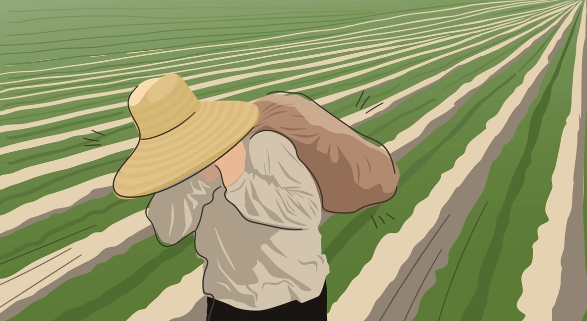 Image for Polski przemysł wyzysku. Imigrantów można zamówić nawet e-mailem