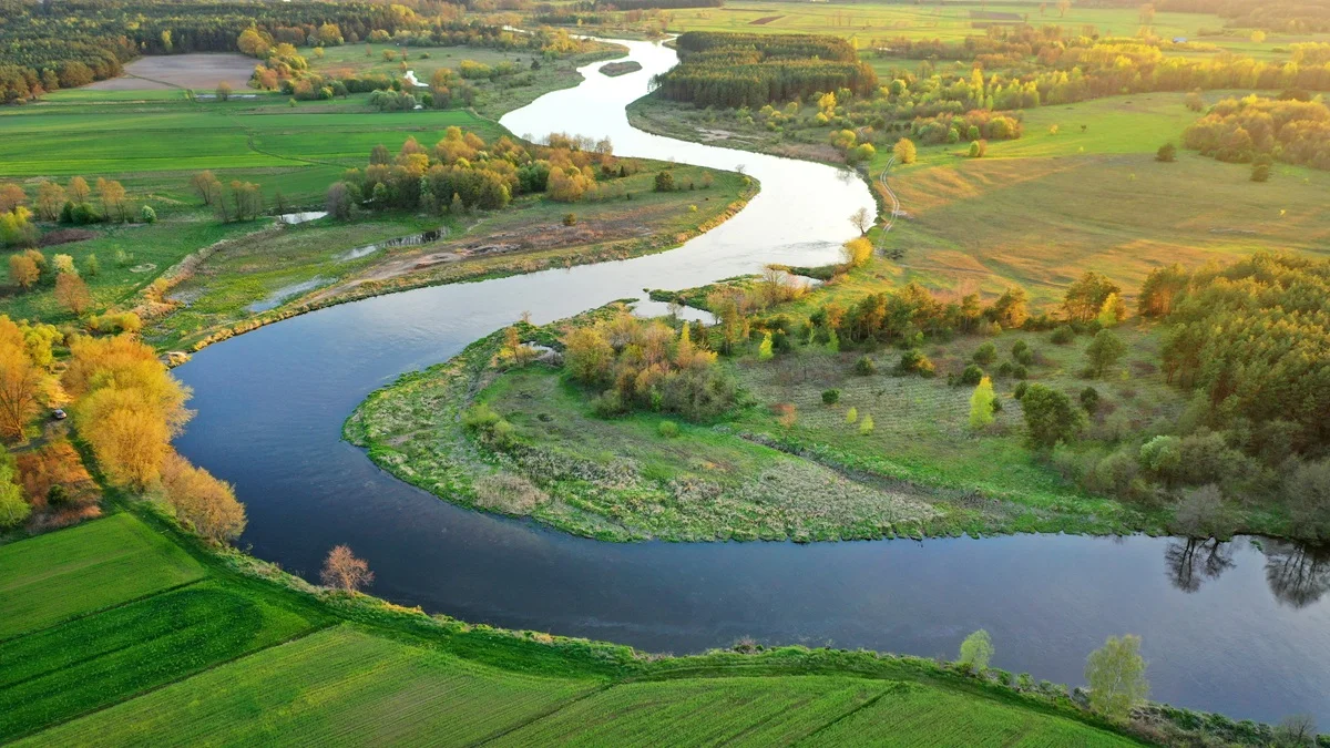odra