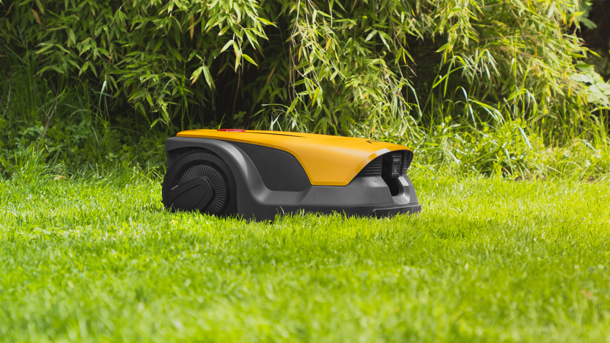 Tak robot koszący widzi twój ogród. Lepiej wybierz dobrze