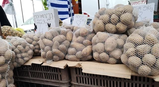 ziemniaki biomasa