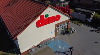 dino
