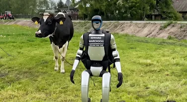 Najsłynniejszy robot w Polsce wywołał burzę w Sejmie. "To może być chiński szpieg"