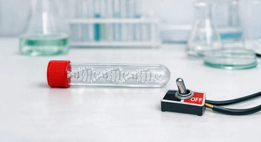 Odkryli, jak wyłączyć raka. Tak po prostu, na poziomie DNA