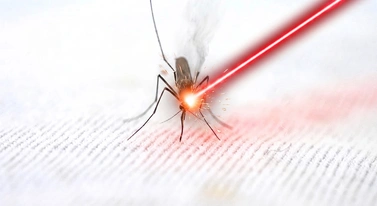 Miał dość komarów. Zbudował laser, który je wyeliminował