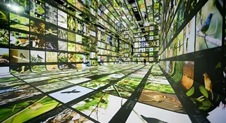 Internet kłóci się, czy AI tworzy sztukę. Google właśnie otworzył jej muzeum