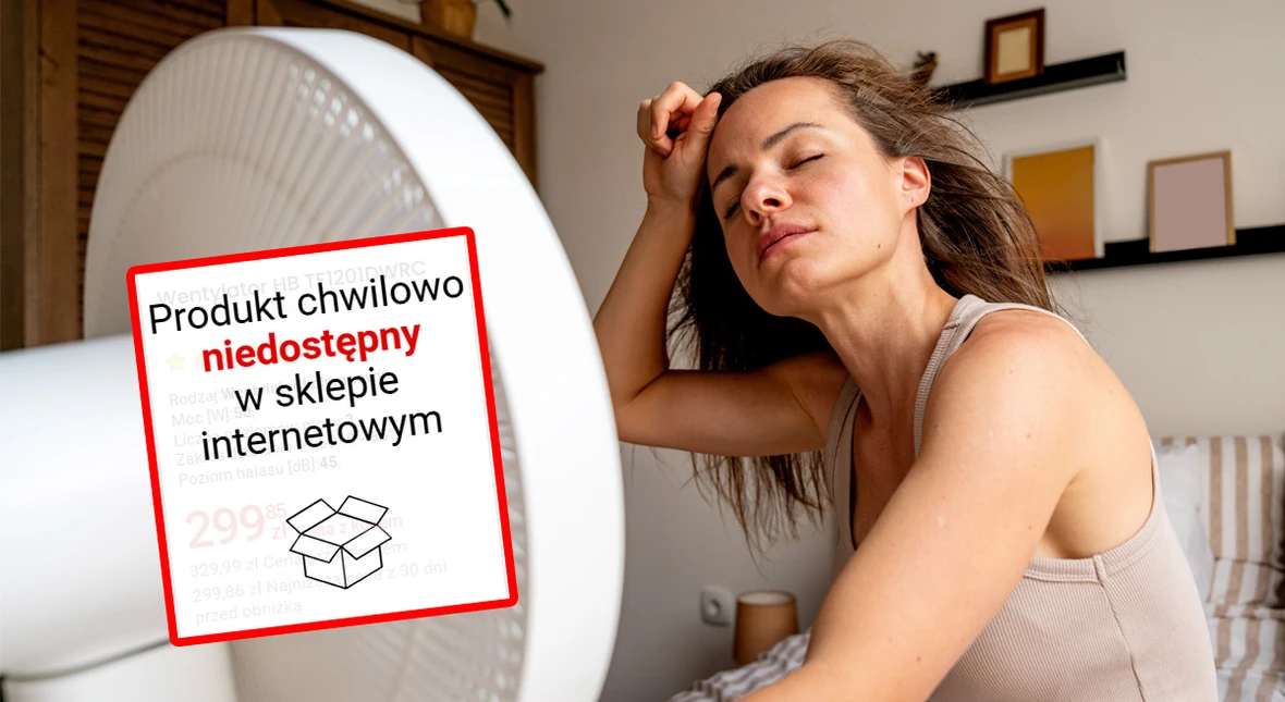 Image for Polacy rzucili się na wentylatory. Sklepy mówią, co schodzi najlepiej