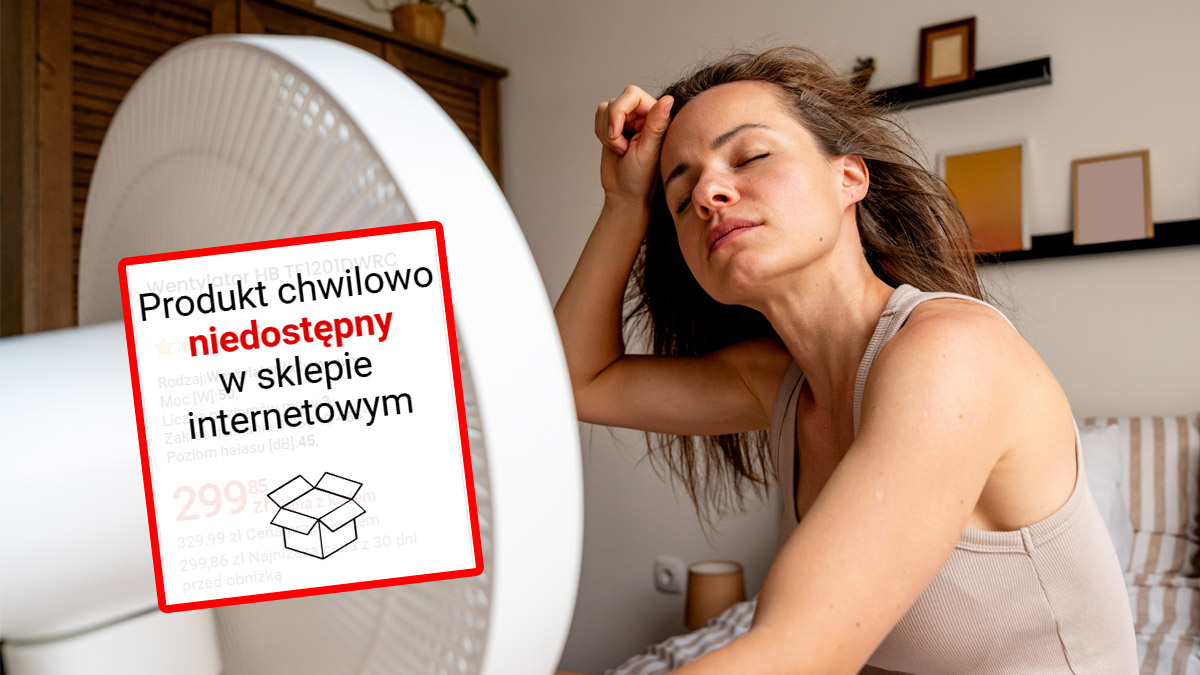 Polacy rzucili się na wentylatory. Sklepy mówią, co schodzi najlepiej