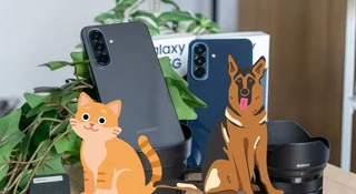 Samsung AI zwierzęta