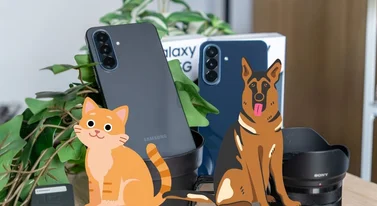 Samsung Galaxy jak weterynarz. Robisz zdjęcie kota i wszystko wiadomo