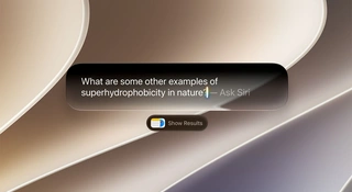 Apple wyjaśnia relację pomiędzy Siri AI a technologią Google'a