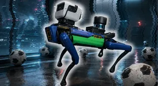 Robo-psy patrolują stadiony