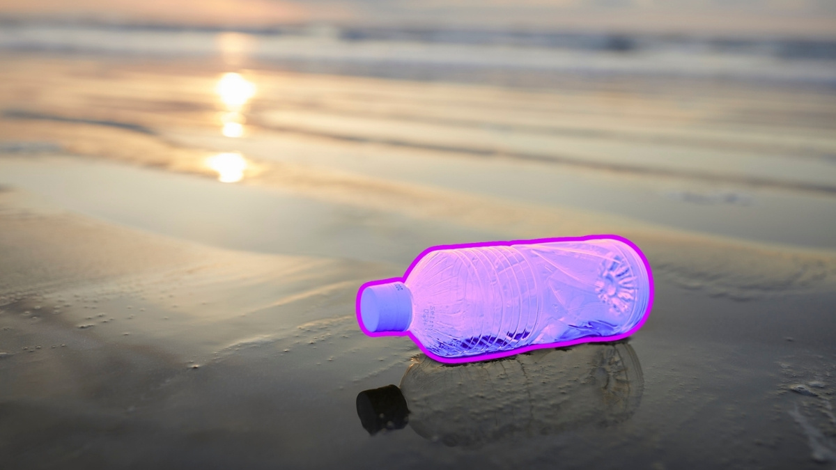 Odkryli nieoczekiwanego sprzymierzeńca plastiku. Działa jak tarcza