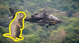 Budowa bazy dla polskich śmigłowców Apache opóźniona. Na przeszkodzie stanął suseł