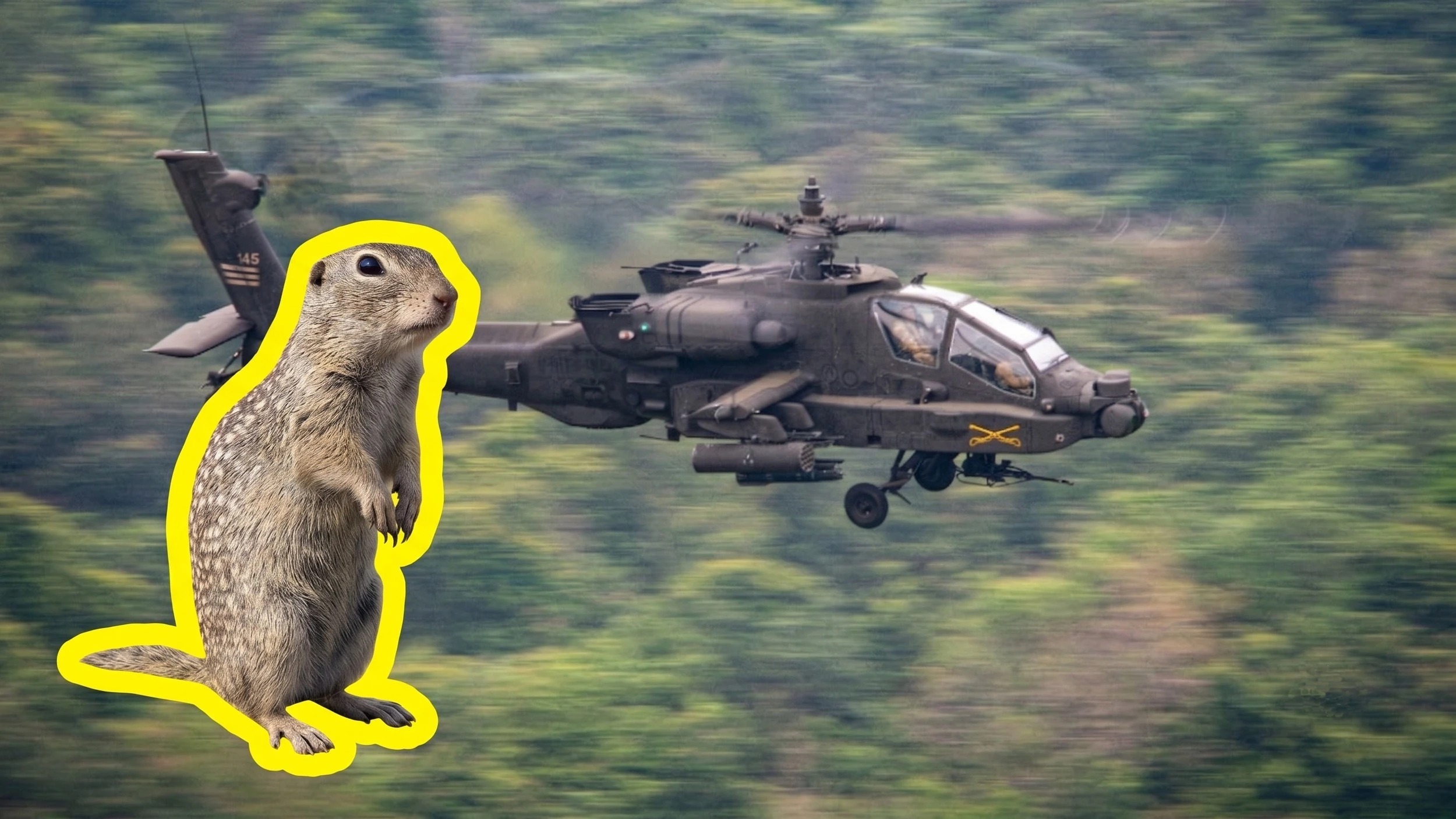 Budowa bazy dla Apache'ów opóźniona — spór o pieniądze i ochronę susła
