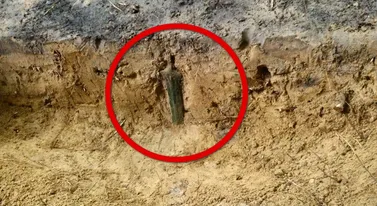 Niezwykłe odkrycie w lesie. Skarb czekał pod ziemią 3000 lat