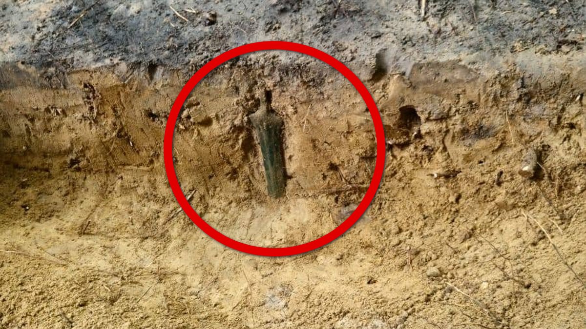 Niezwykłe odkrycie w lesie. Skarb czekał pod ziemią 3000 lat