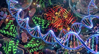 Od dziesięcioleci naukowcy zakładali, że wszystko zaczęło się od DNA i RNA. Teraz pojawia się hipoteza, która może całkowicie zmienić tę opowieść. Dr Tomasz Zajkowski z AGH bada, czy pierwszym nośnikiem informacji biologicznej były priony, niezwykłe białka zdolne do przekazywania swojej struktury kolejnym cząsteczkom. Jeśli badania potwierdzą tę możliwość, konieczne może być przepisanie jednego z najważniejszych rozdziałów historii życia na Ziemi, a także zmiana sposobu, w jaki będziemy szukać życia na innych światach.