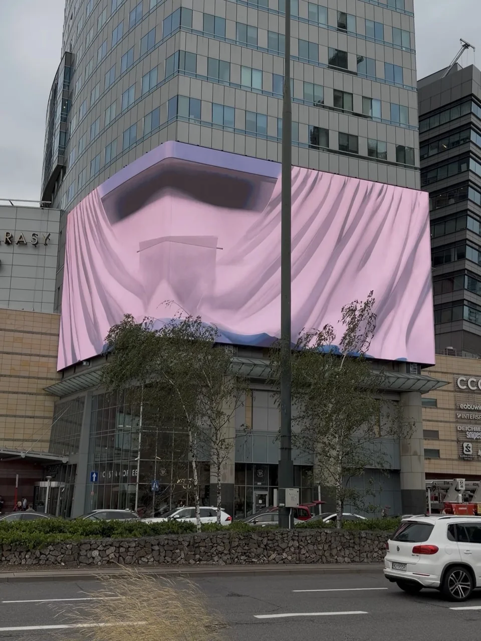 miniatura zdjęcia