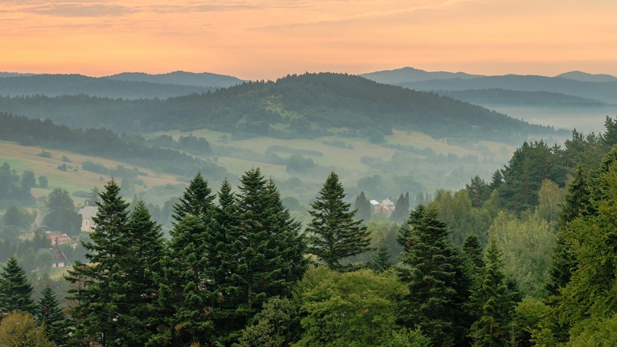 „Zobaczą” Bieszczady bez użycia wzroku. Przełomowy projekt otwiera góry dla wszystkich