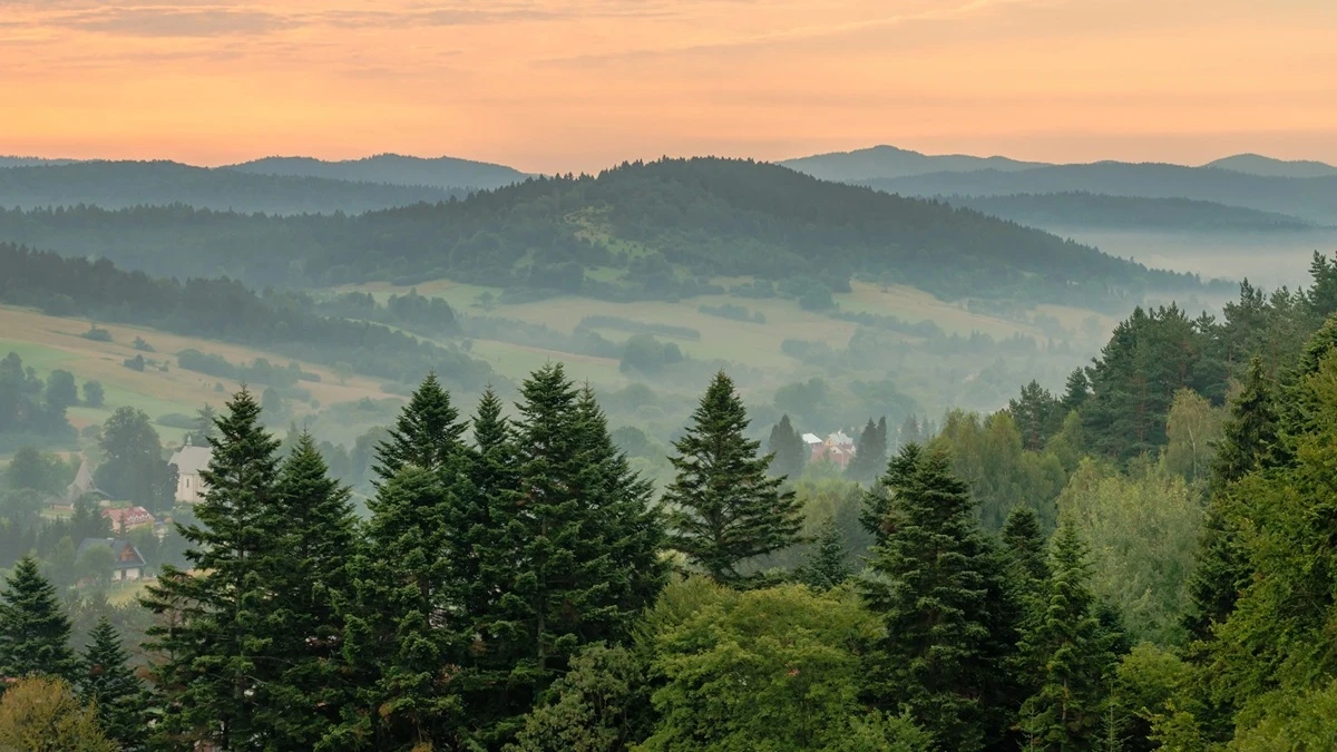 Niewidomi turyści poczują Bieszczady dzięki nowemu projektowi dotykowych map i tras