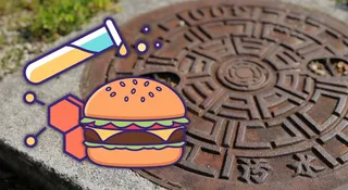 Ścieki ujawniły dietę 2,1 mln ludzi