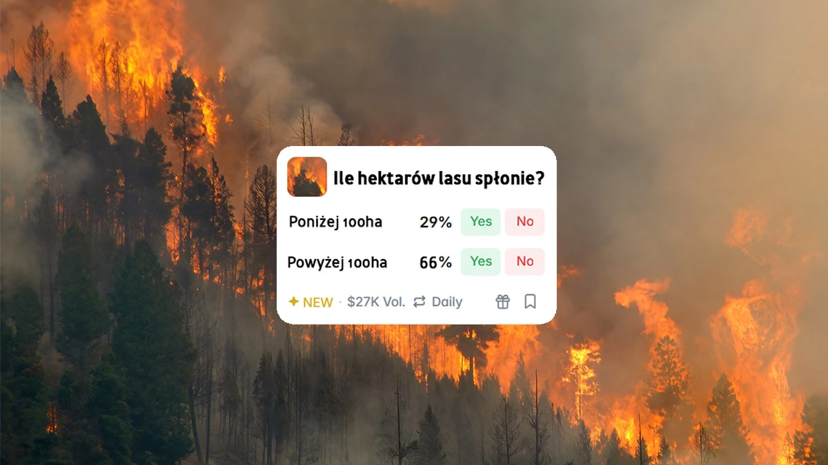 Rynek predykcyjny przyjmuje zakłady związane z pożarami lasów