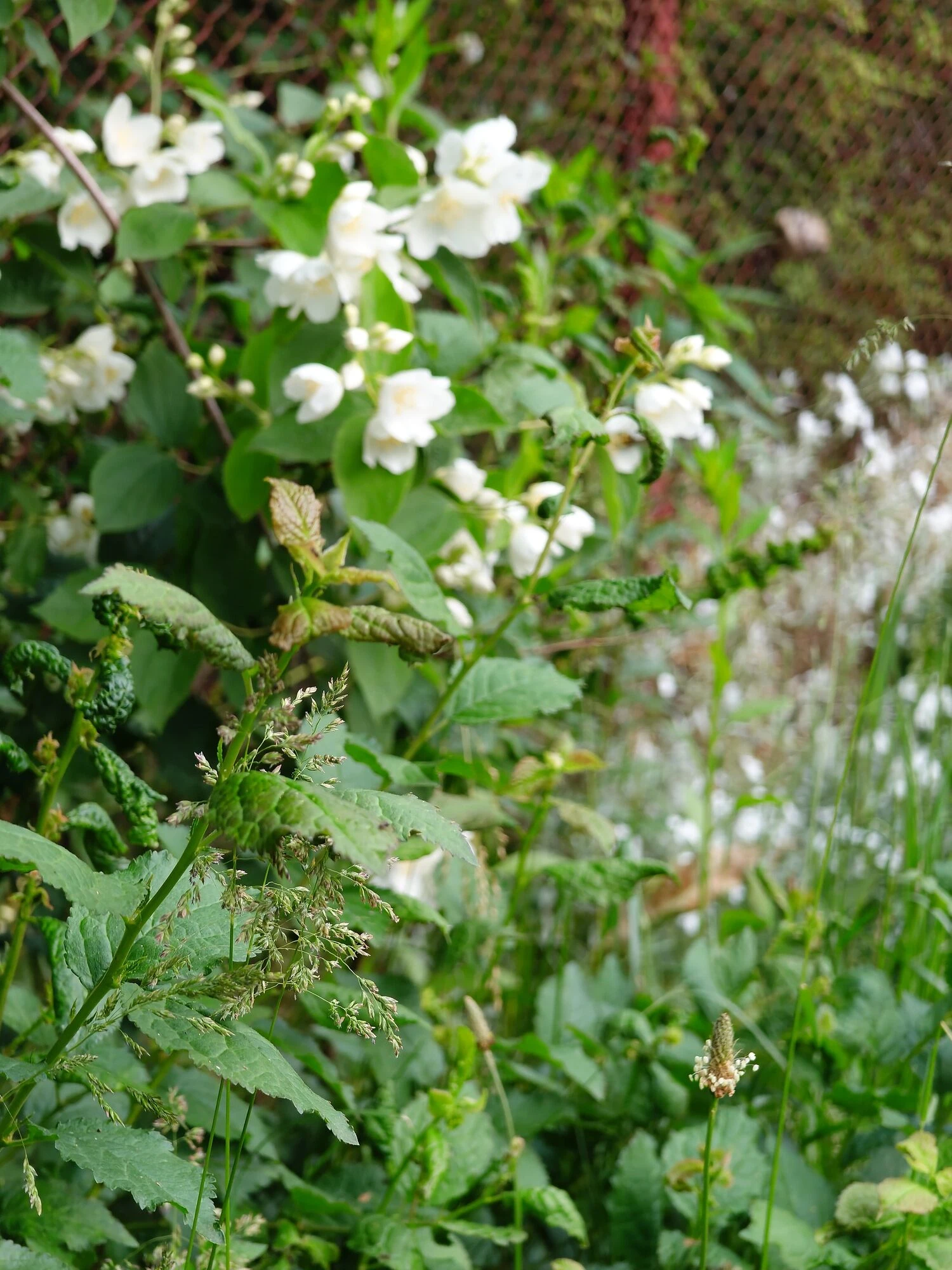 https://cdn-sw.spidersweb.pl/2026/07/sony-xperia-1-mark-VIII-test22-rotated.jpg