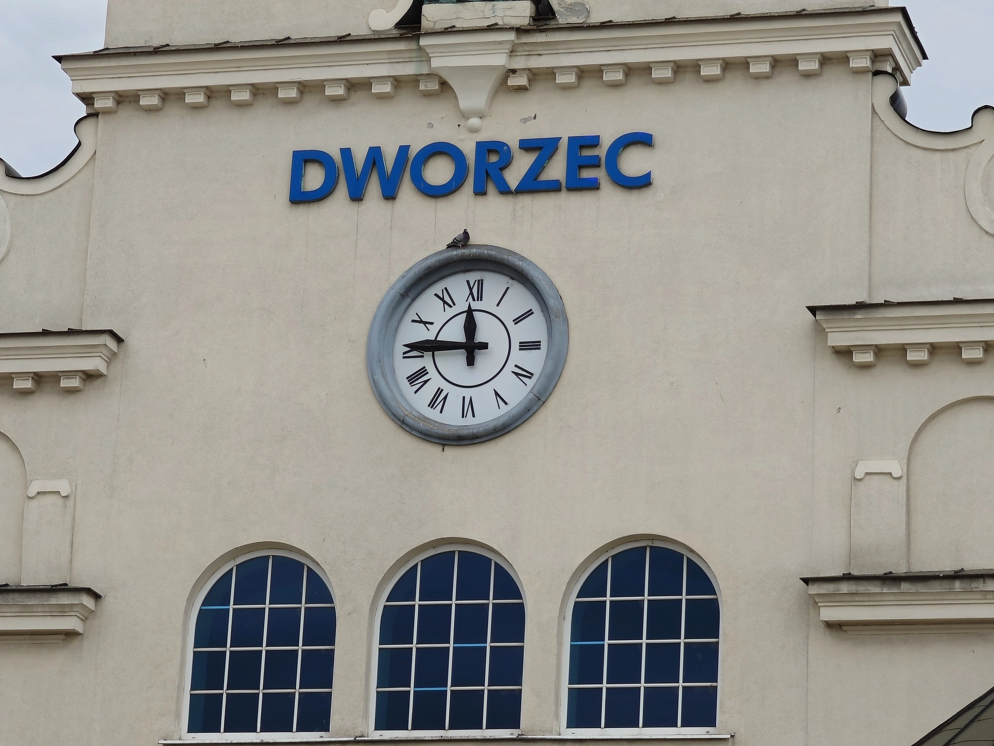 miniatura zdjęcia