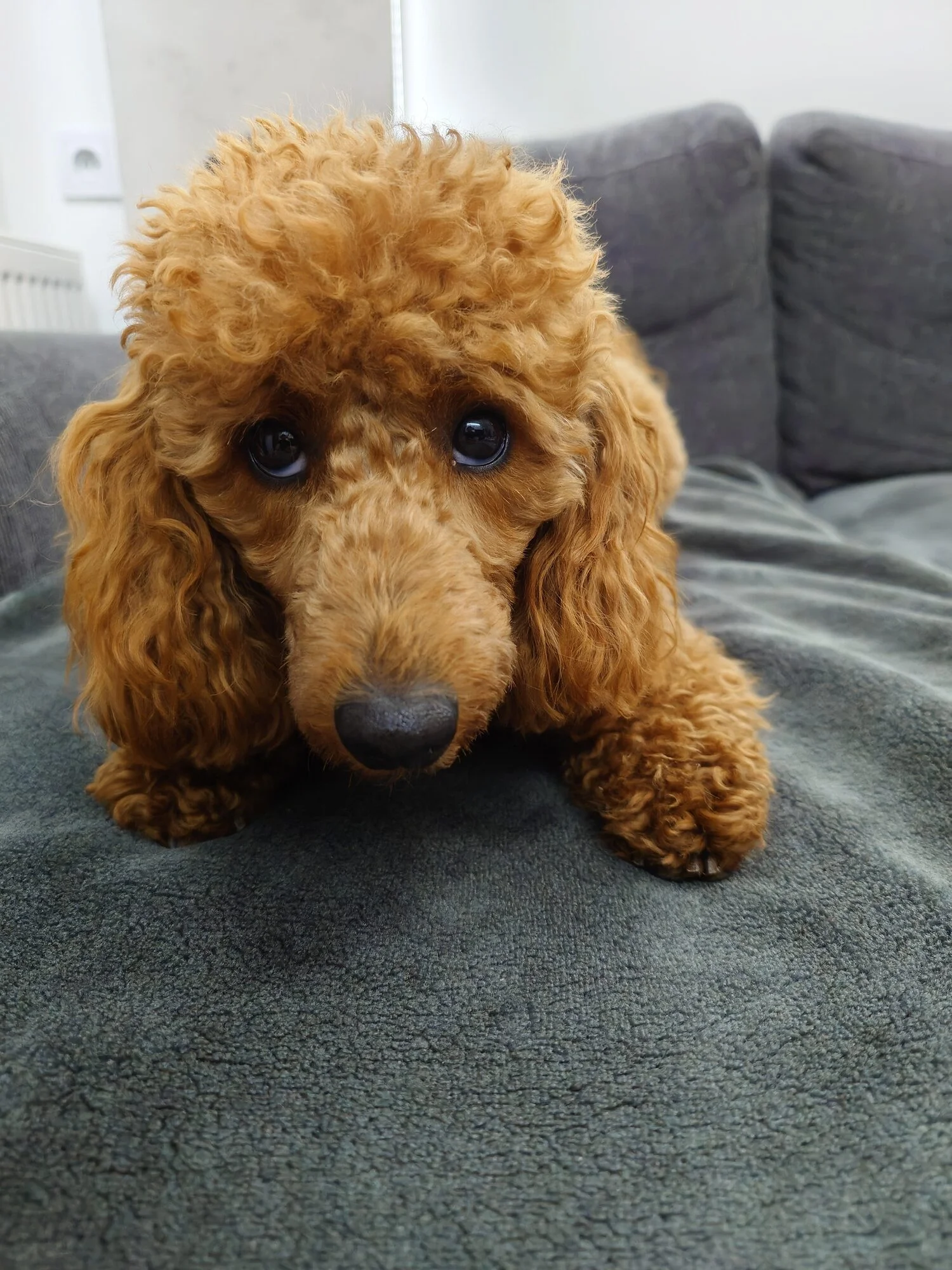 https://cdn-sw.spidersweb.pl/2026/07/sony-xperia-1-mark-VIII-test63-rotated.jpg