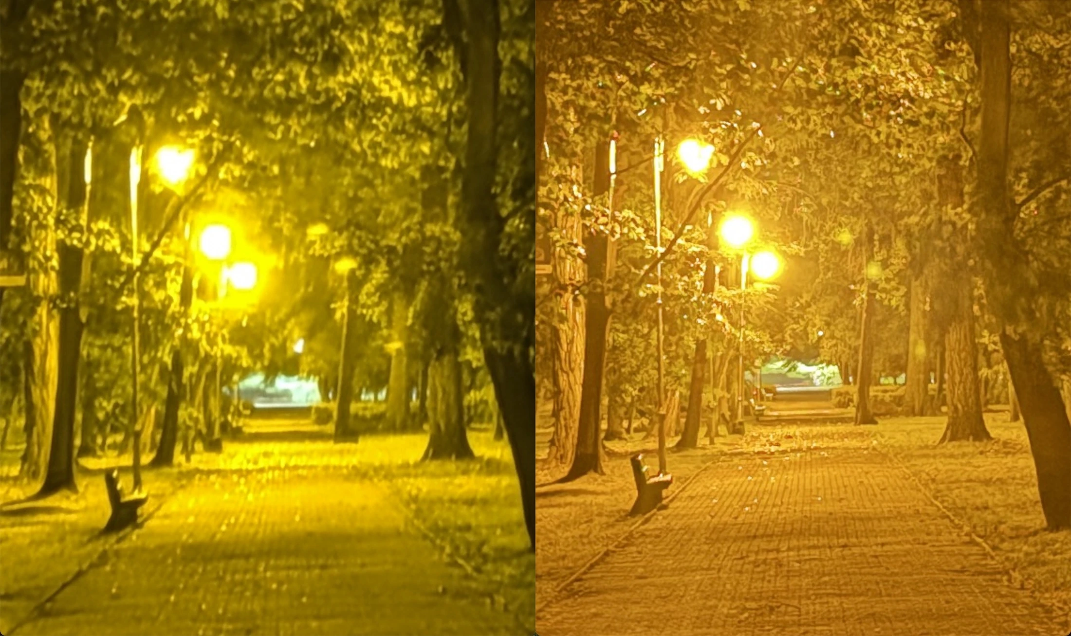 class="wp-image-5901700"