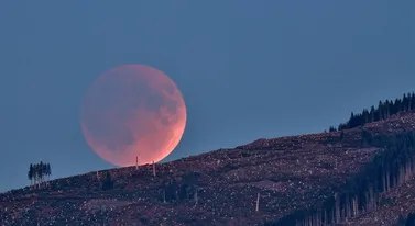 Dwa zaćmienia i deszcz meteorytów. Wyjątkowy sierpień na polskim niebie