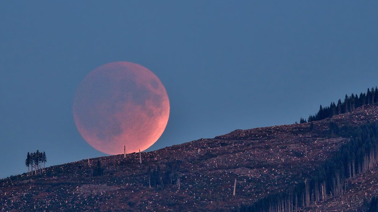 Dwa zaćmienia i deszcz meteorytów. Wyjątkowy sierpień na polskim niebie