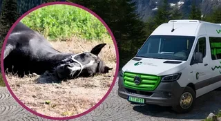 Konie znikną z najtrudniejszej części trasy do Morskiego Oka